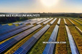 1 MW GES Kurulum Maliyeti