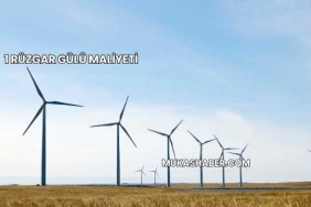 1 Rüzgar Gülü Maliyeti