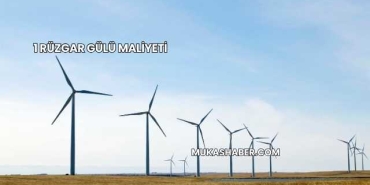 1 Rüzgar Gülü Maliyeti