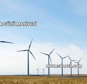 1 Rüzgar Gülü Maliyeti