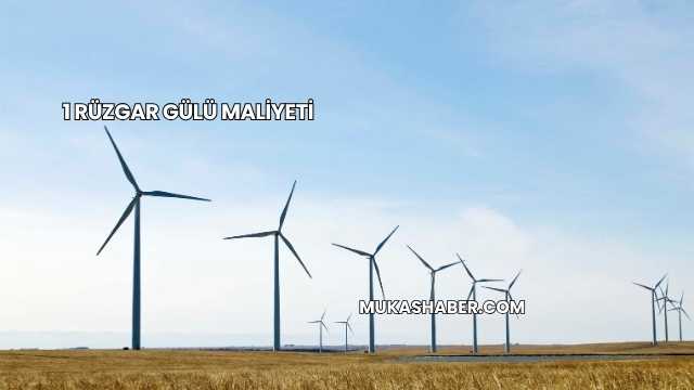 1 Rüzgar Gülü Maliyeti