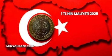 1 TL'nin Maliyeti 2025