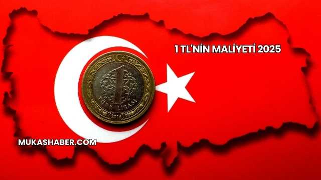 1 TL'nin Maliyeti 2025