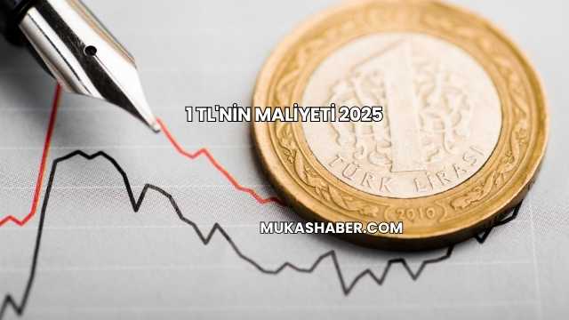 1 TL'nin Maliyeti 2025