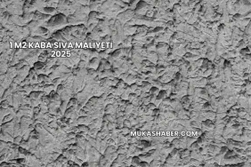 1 m2 Kaba Sıva Maliyeti 2025