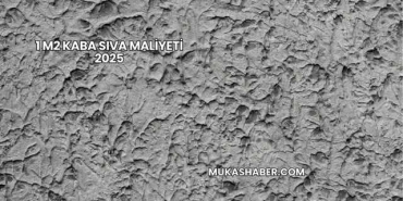 1 m2 Kaba Sıva Maliyeti 2025