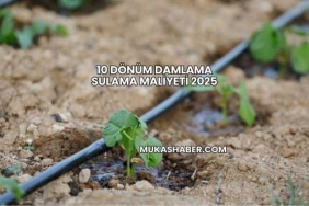 10 Dönüm Damlama Sulama Maliyeti 2025