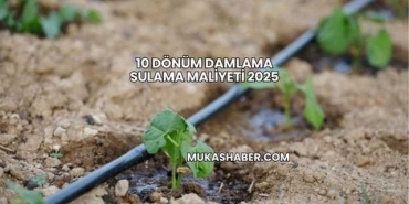 10 Dönüm Damlama Sulama Maliyeti 2025