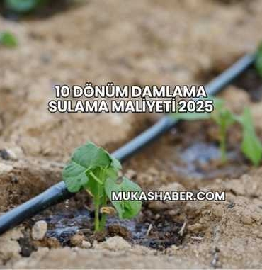 10 Dönüm Damlama Sulama Maliyeti 2025