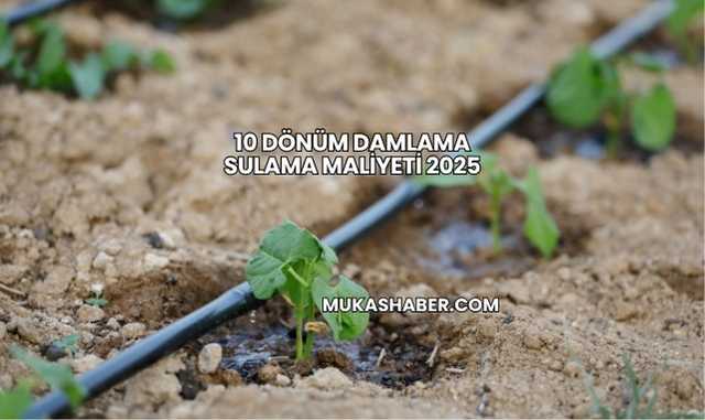 10 Dönüm Damlama Sulama Maliyeti 2025