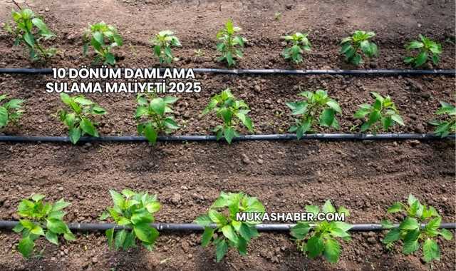10 Dönüm Damlama Sulama Maliyeti 2025