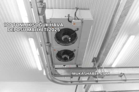 100 Tonluk Soğuk Hava Deposu Maliyeti 2025