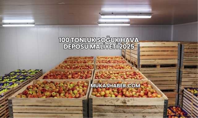 100 Tonluk Soğuk Hava Deposu Maliyeti 2025