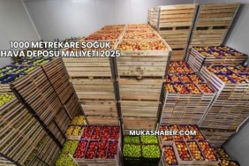 1000 Metrekare Soğuk Hava Deposu Maliyeti 2025