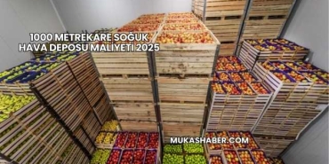 1000 Metrekare Soğuk Hava Deposu Maliyeti 2025