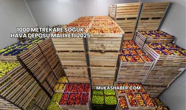 1000 Metrekare Soğuk Hava Deposu Maliyeti 2025