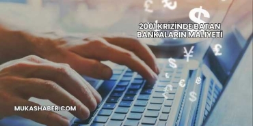 2001 Krizinde Batan Bankaların Maliyeti