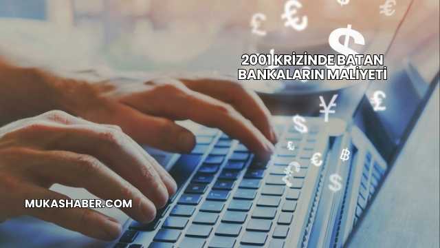 2001 Krizinde Batan Bankaların Maliyeti