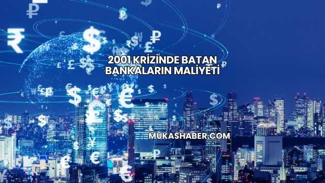 2001 Krizinde Batan Bankaların Maliyeti