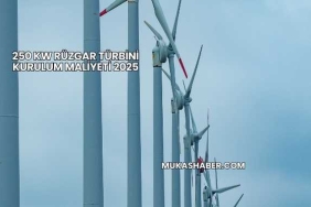 250 kw Rüzgar Türbini Kurulum Maliyeti 2025