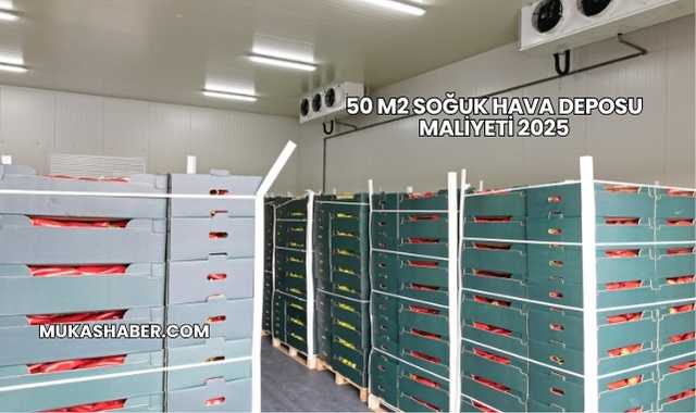 50 m2 Soğuk Hava Deposu Maliyeti 2025