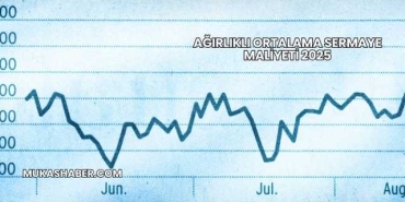 Ağırlıklı Ortalama Sermaye Maliyeti 2025
