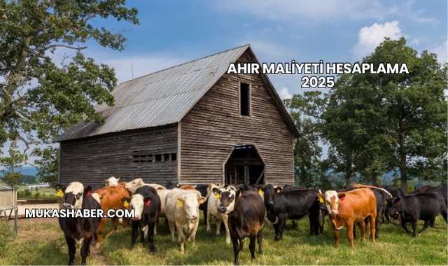 Ahır Maliyeti Hesaplama 2025