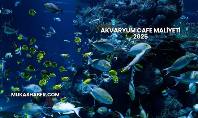 Akvaryum Cafe Maliyeti 2025