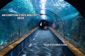 Akvaryum Cafe Maliyeti 2025