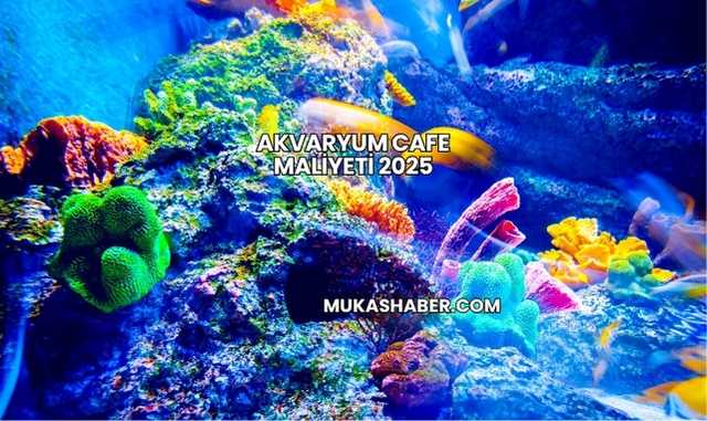 Akvaryum Cafe Maliyeti 2025