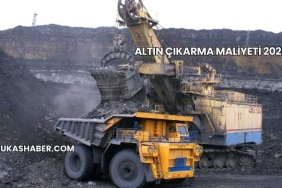 Altın Çıkarma Maliyeti 2025