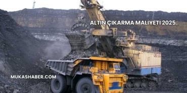 Altın Çıkarma Maliyeti 2025