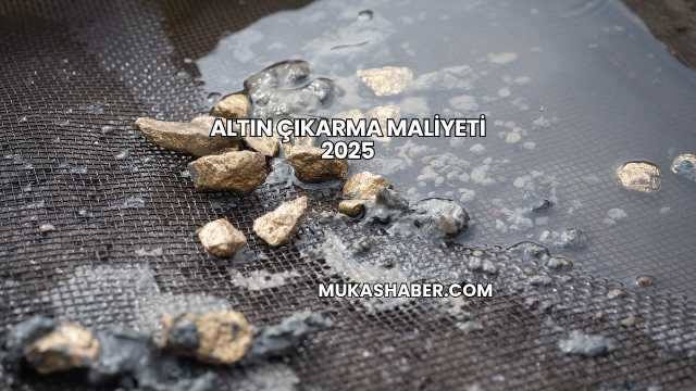 Altın Çıkarma Maliyeti 2025