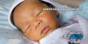 Amerikada Doğum Maliyeti 2025