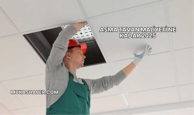 Asma Tavan Maliyeti Ne Kadar 2025