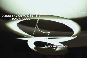 Asma Tavan Maliyeti Ne Kadar 2025