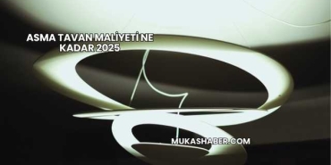 Asma Tavan Maliyeti Ne Kadar 2025