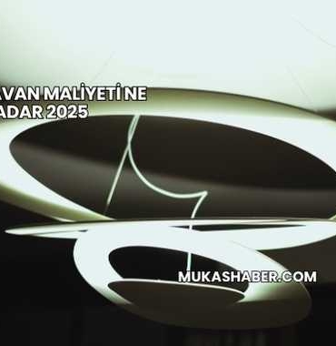 Asma Tavan Maliyeti Ne Kadar 2025