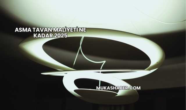 Asma Tavan Maliyeti Ne Kadar 2025