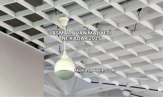 Asma Tavan Maliyeti Ne Kadar 2025