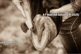 At Bakımı Maliyeti 2025