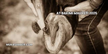 At Bakımı Maliyeti 2025