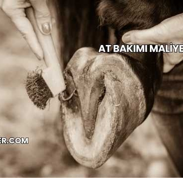 At Bakımı Maliyeti 2025