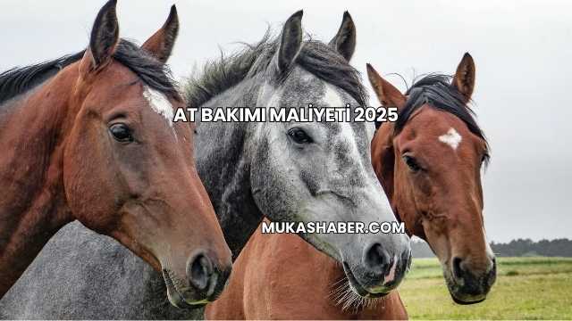At Bakımı Maliyeti 2025