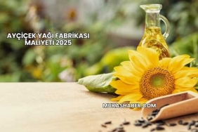 Ayçiçek Yağı Fabrikası Maliyeti 2025