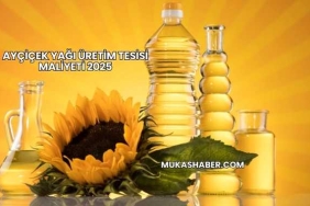 Ayçiçek Yağı Üretim Tesisi Maliyeti 2025