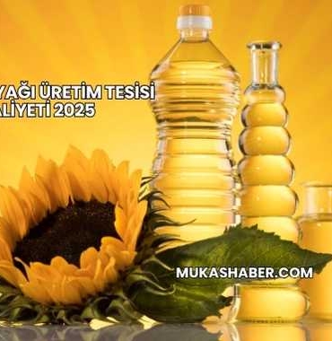 Ayçiçek Yağı Üretim Tesisi Maliyeti 2025