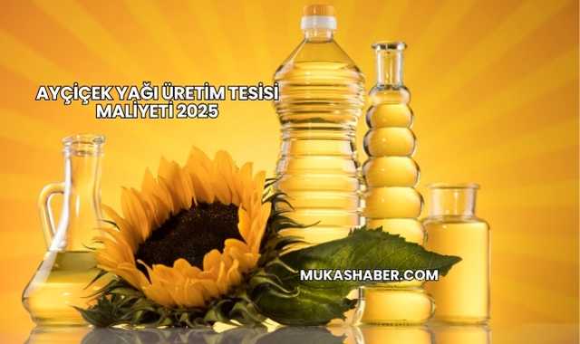 Ayçiçek Yağı Üretim Tesisi Maliyeti 2025