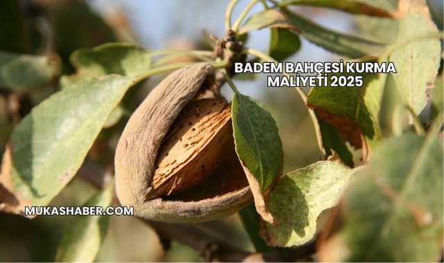 Badem Bahçesi Kurma Maliyeti 2025