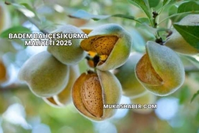 Badem Bahçesi Kurma Maliyeti 2025